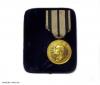 Hohenzollern, Bene-Merenti-Medaille des Fürsten Wilhelm, im Verleihungsetui